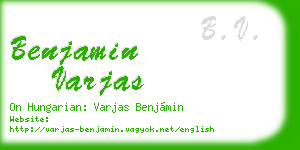 benjamin varjas business card